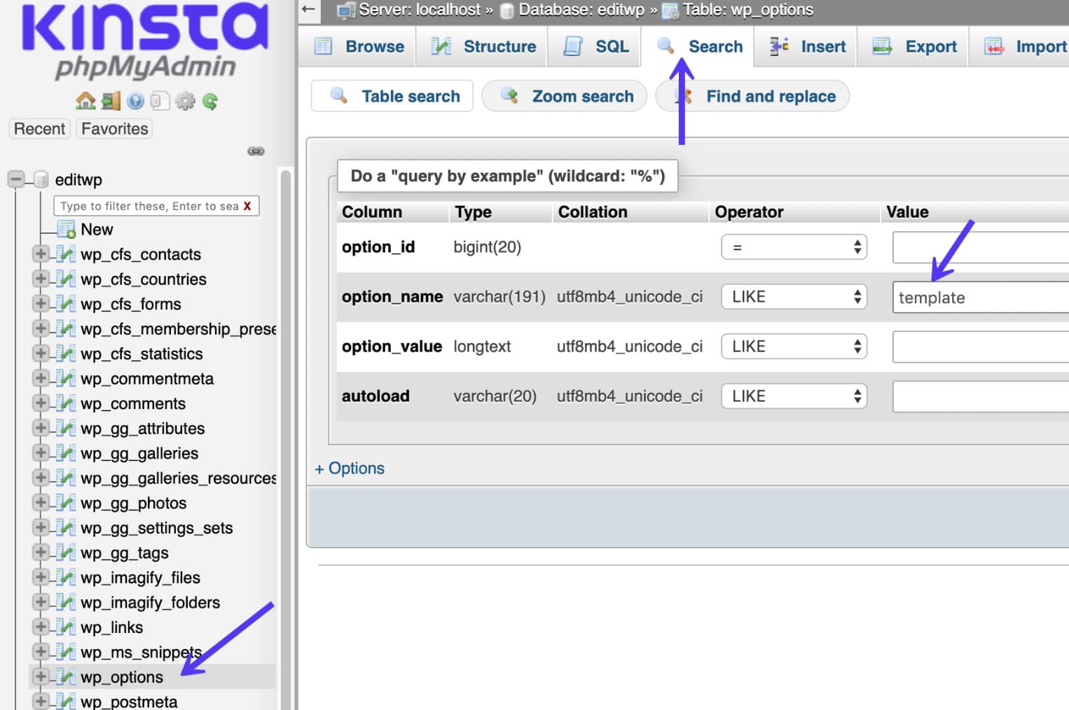 Tabella wp_options su phpMyAdmin